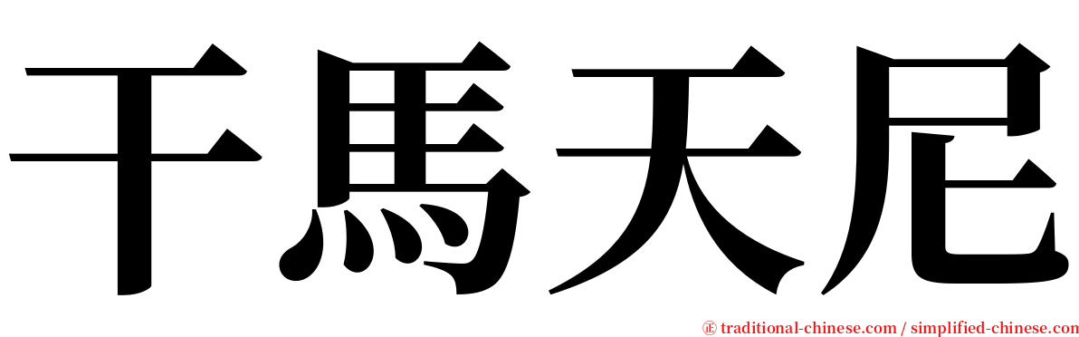干馬天尼 serif font