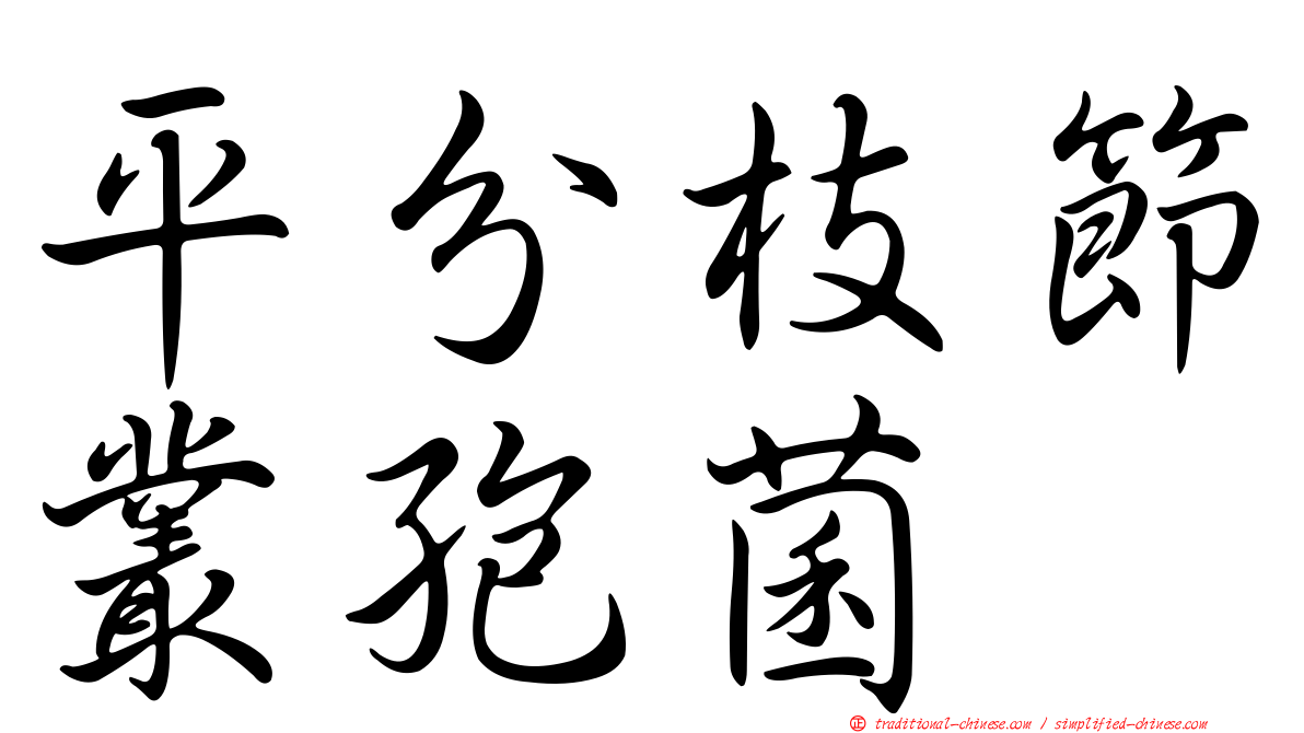平分枝節叢孢菌
