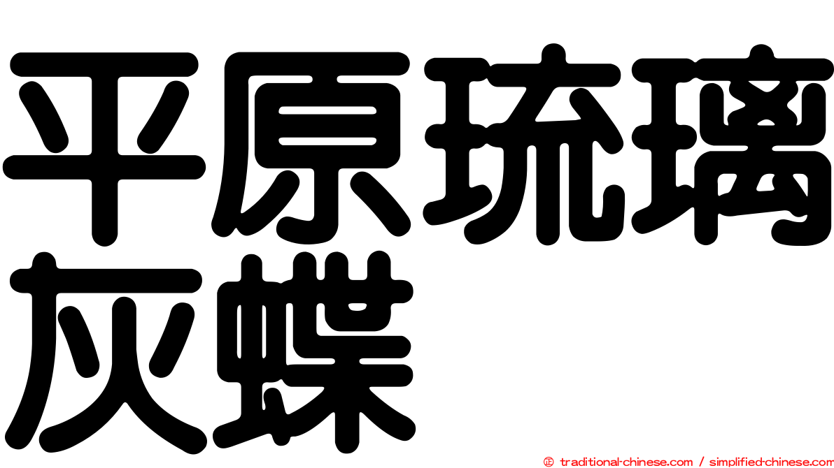 平原琉璃灰蝶