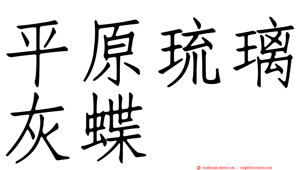 平原琉璃灰蝶