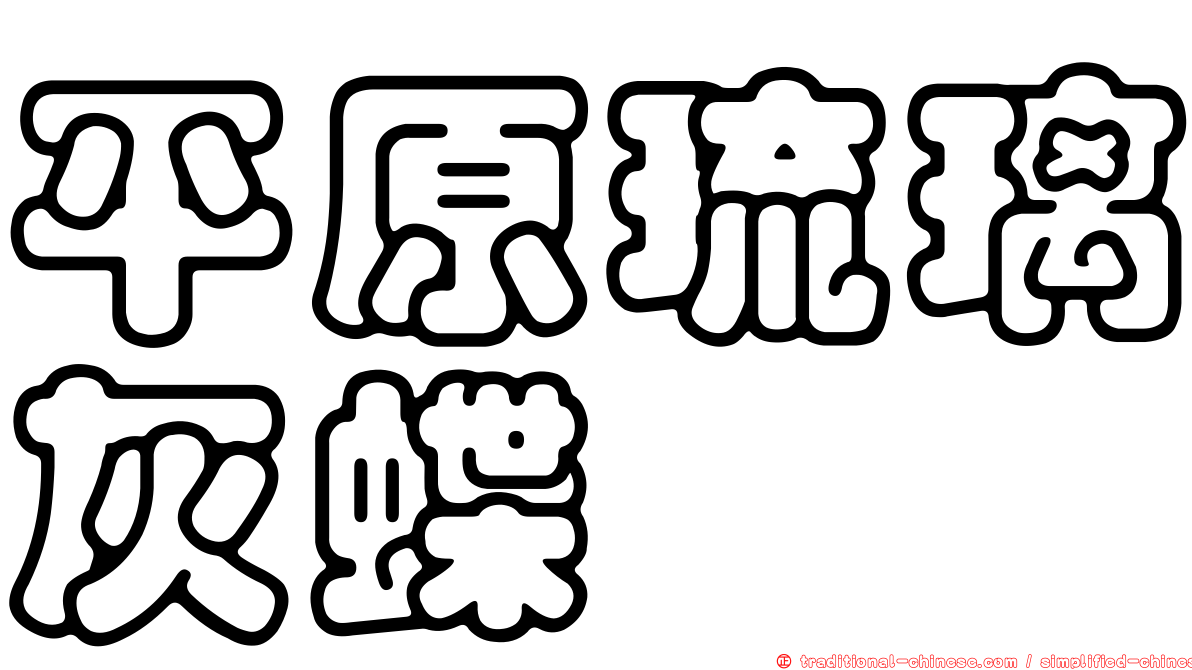 平原琉璃灰蝶