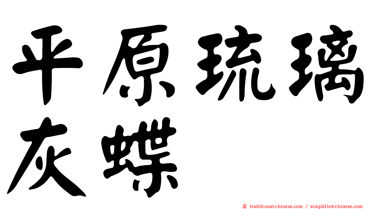 平原琉璃灰蝶