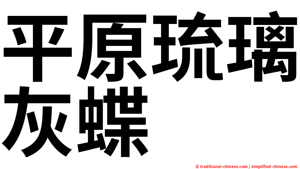 平原琉璃灰蝶