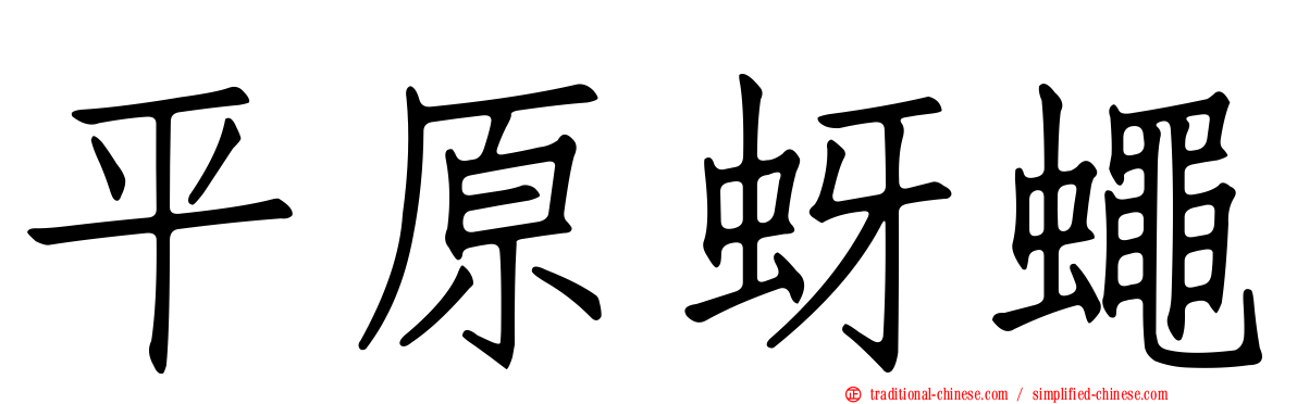 平原蚜蠅