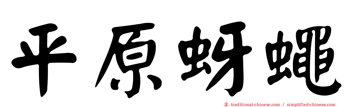 平原蚜蠅