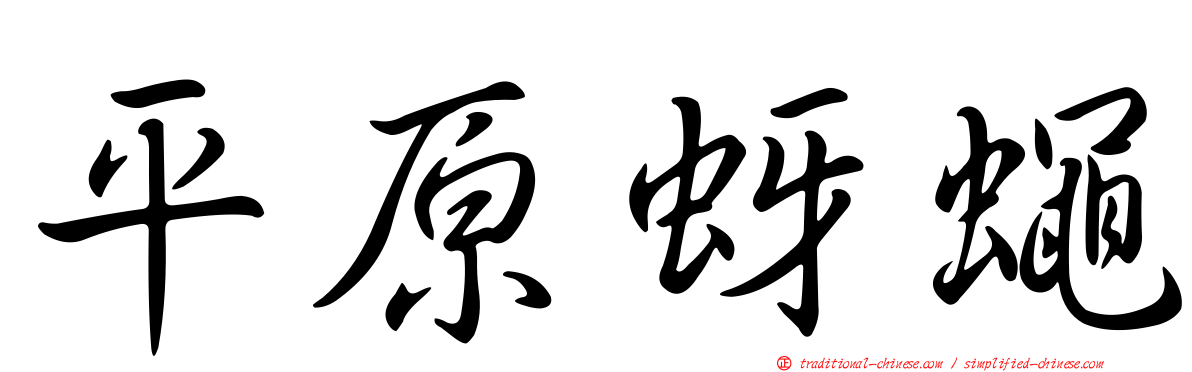 平原蚜蠅