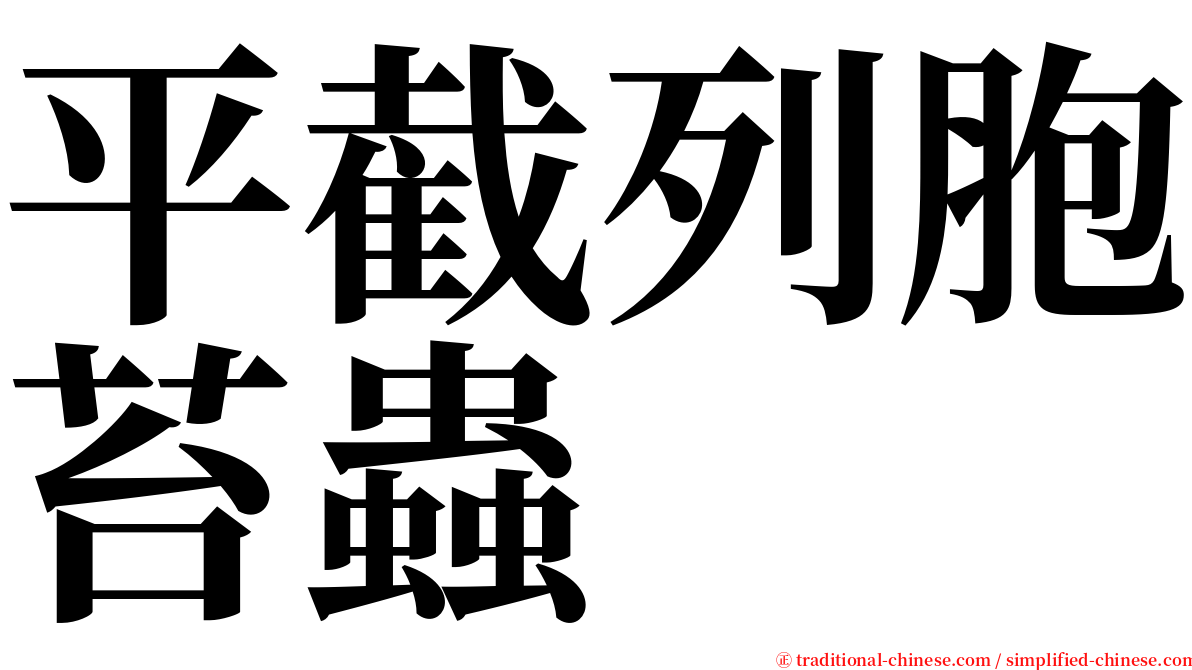 平截列胞苔蟲 serif font