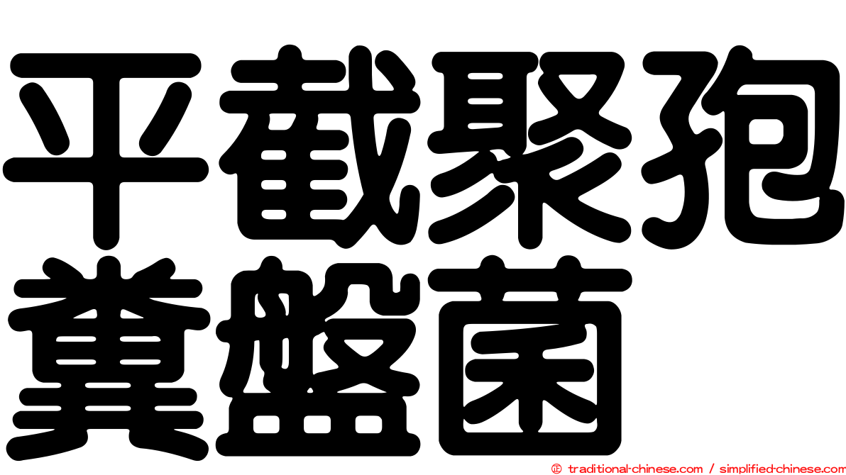 平截聚孢糞盤菌