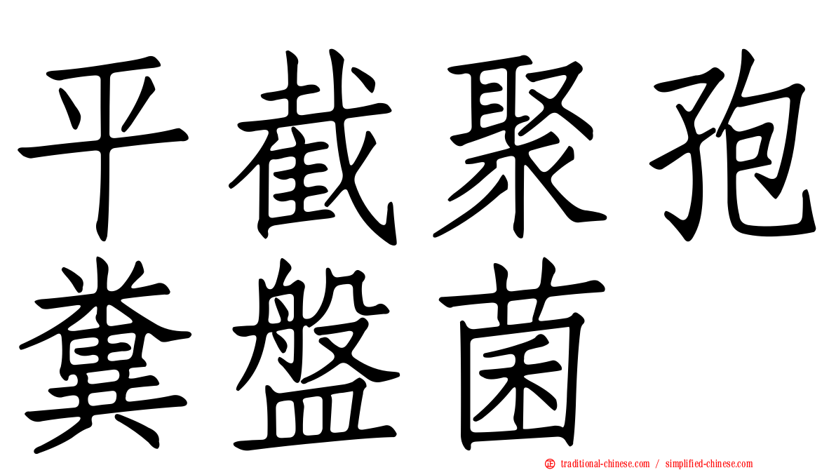 平截聚孢糞盤菌