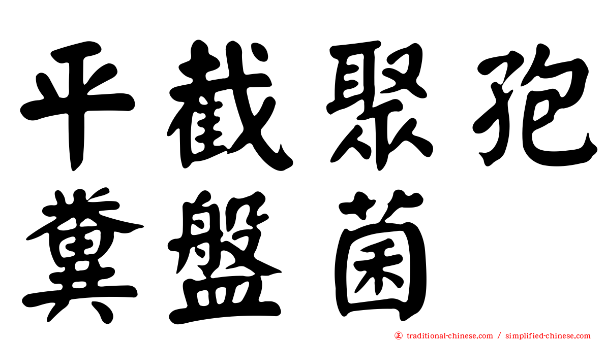 平截聚孢糞盤菌