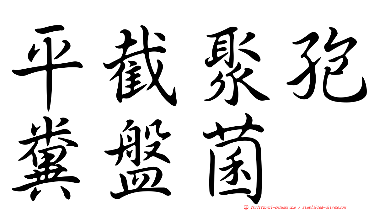 平截聚孢糞盤菌
