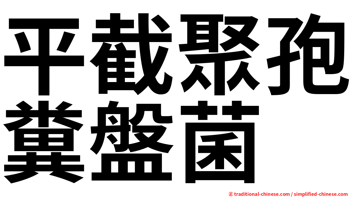 平截聚孢糞盤菌