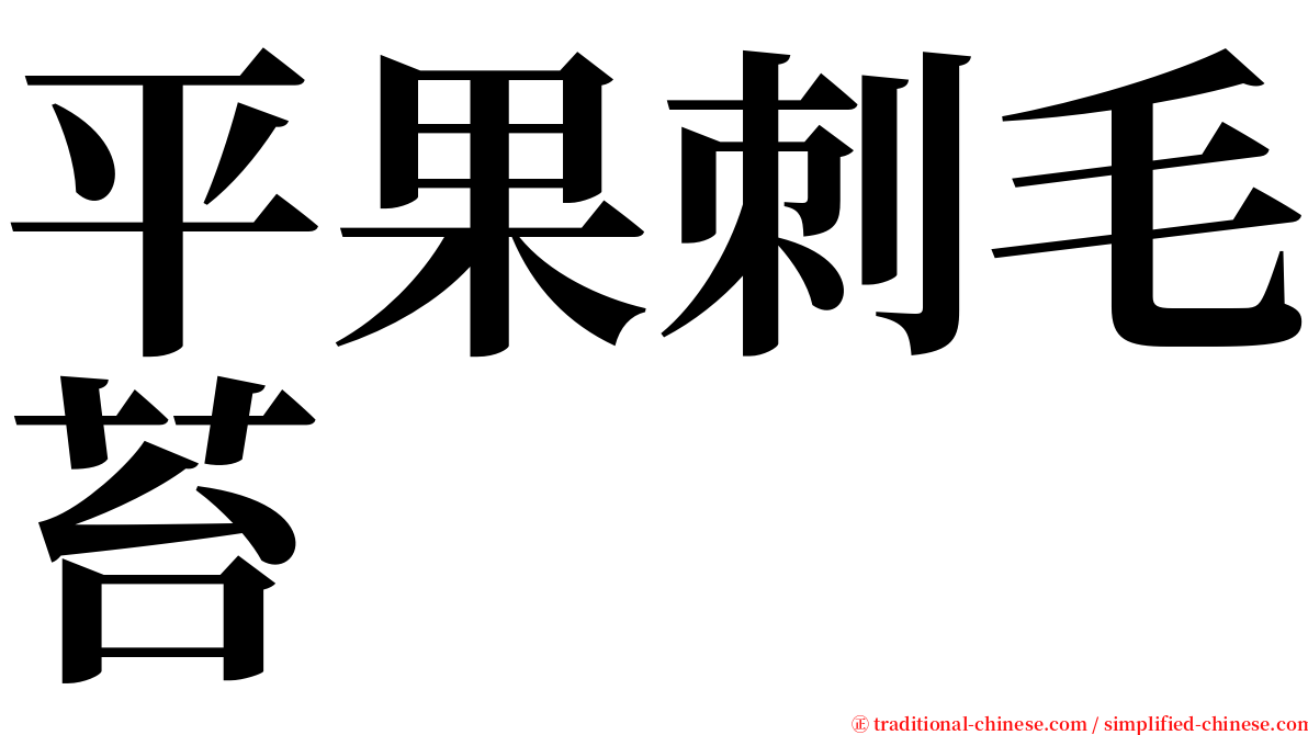 平果刺毛苔 serif font