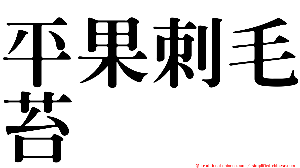 平果刺毛苔