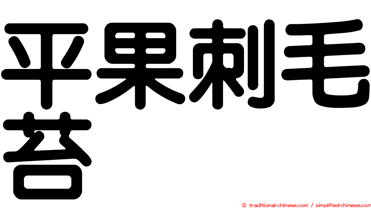 平果刺毛苔