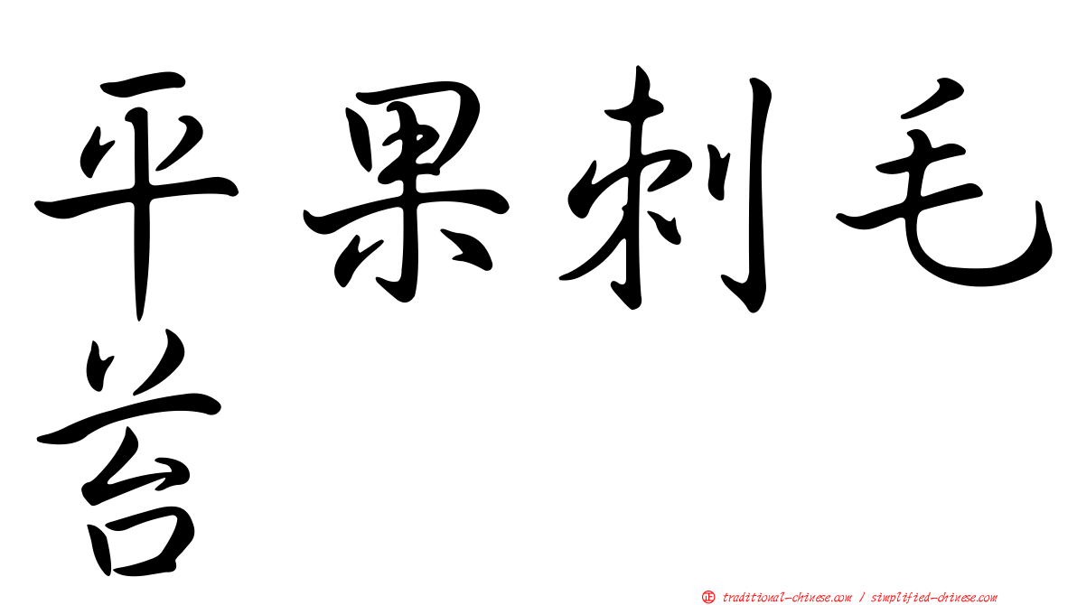 平果刺毛苔