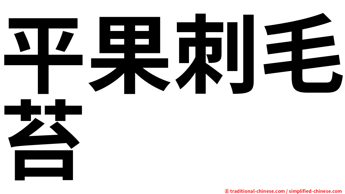 平果刺毛苔