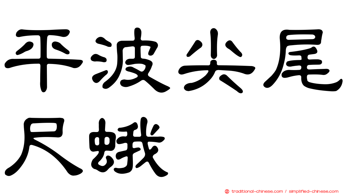 平波尖尾尺蛾