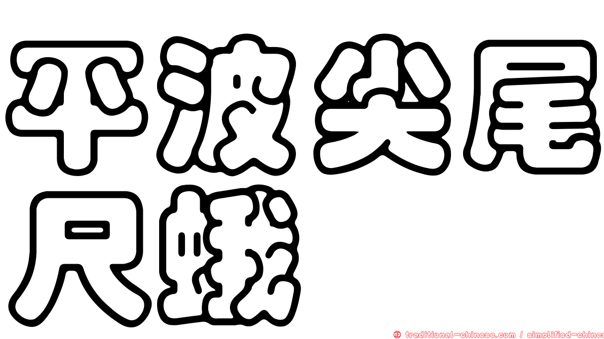 平波尖尾尺蛾