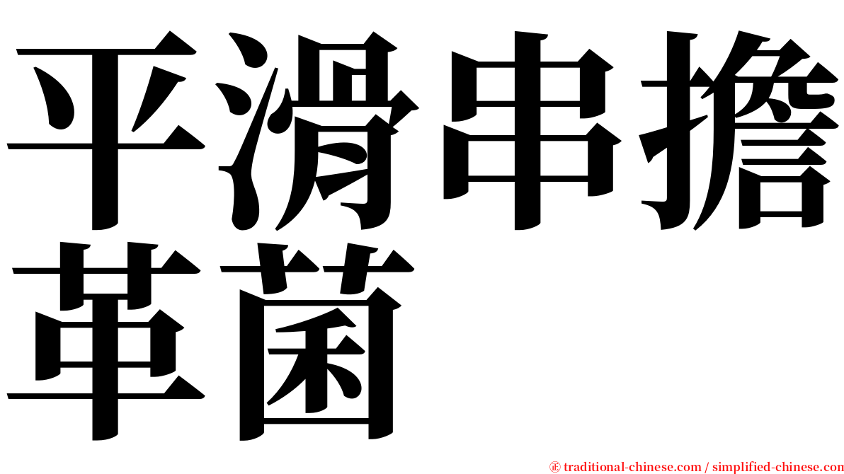 平滑串擔革菌 serif font