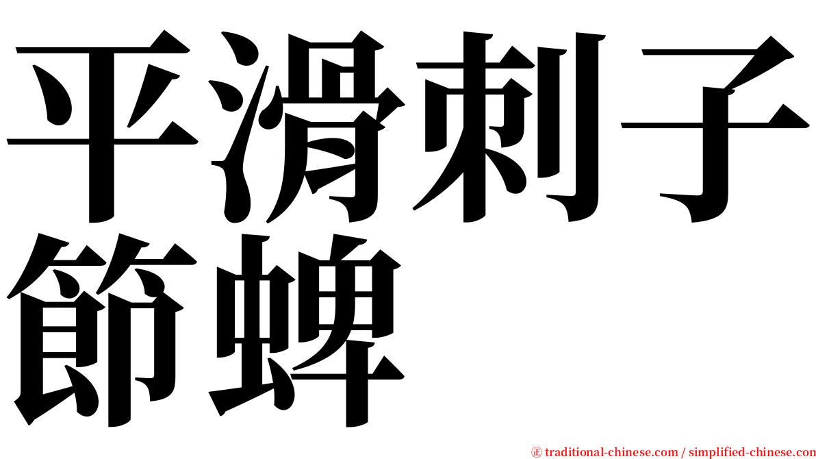 平滑刺子節蜱 serif font