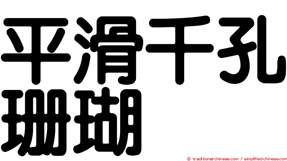 平滑千孔珊瑚