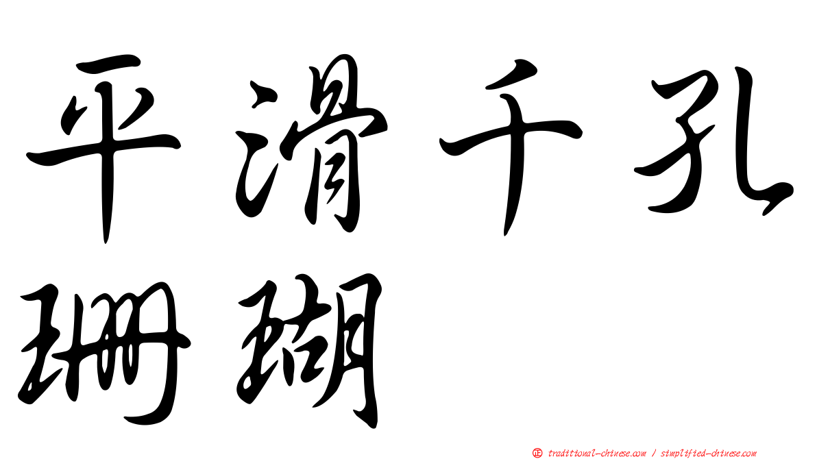 平滑千孔珊瑚