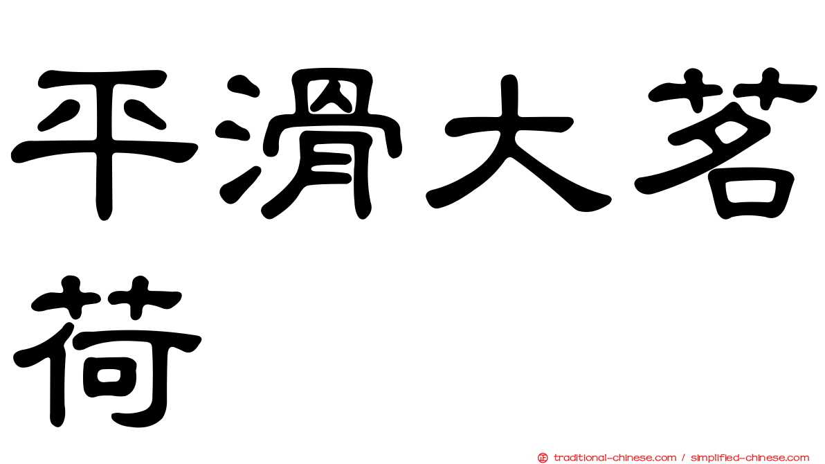 平滑大茗荷