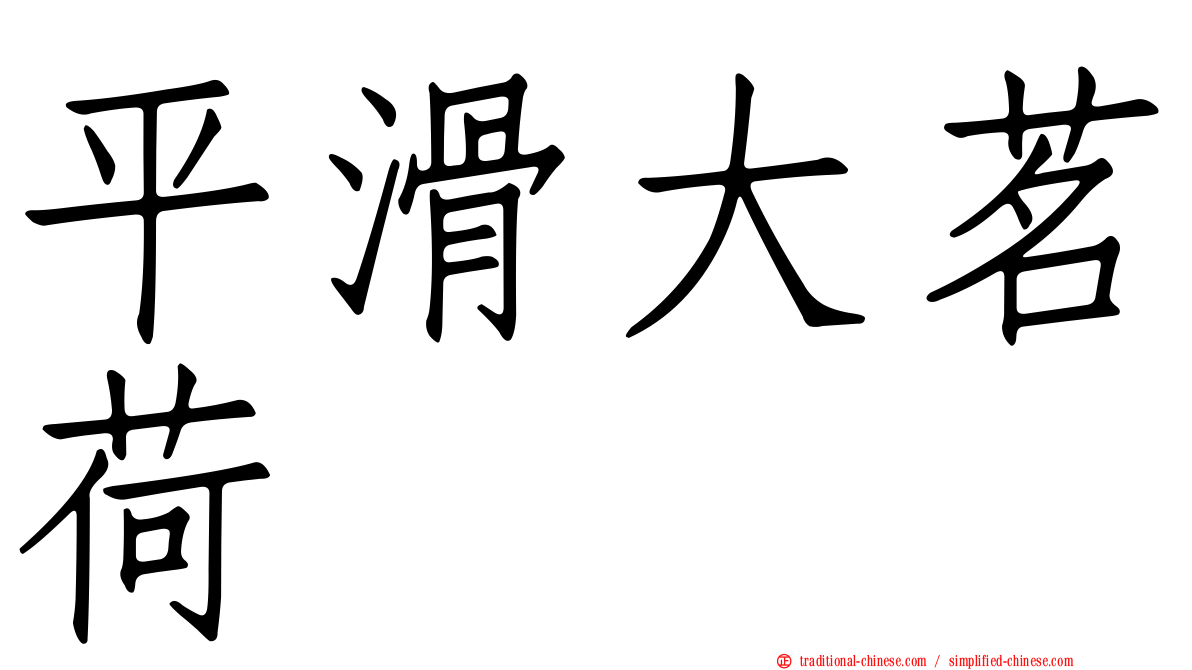 平滑大茗荷