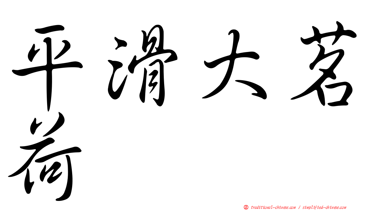 平滑大茗荷