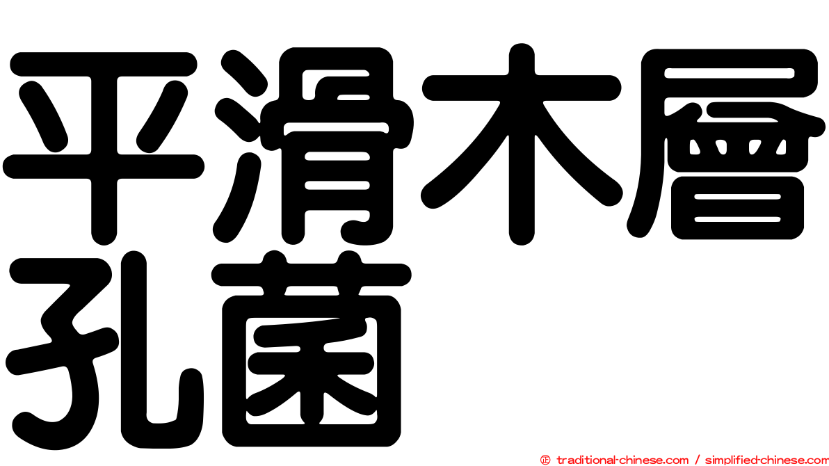 平滑木層孔菌