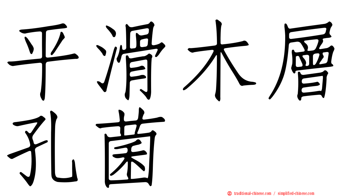 平滑木層孔菌