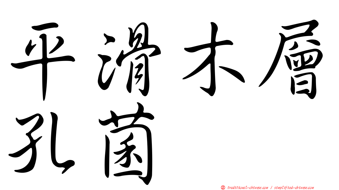 平滑木層孔菌