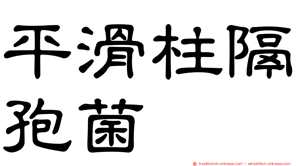 平滑柱隔孢菌