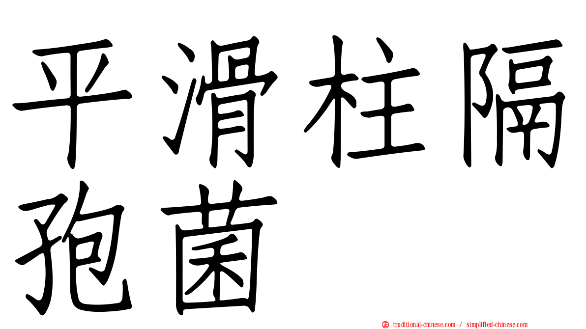 平滑柱隔孢菌