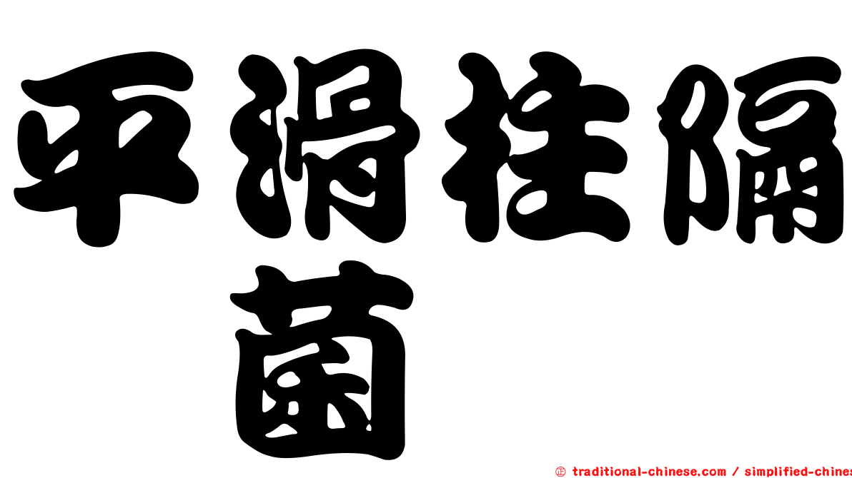 平滑柱隔孢菌