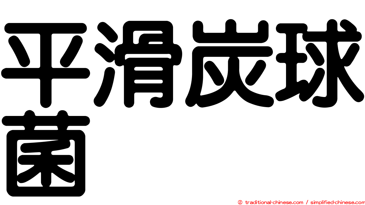 平滑炭球菌