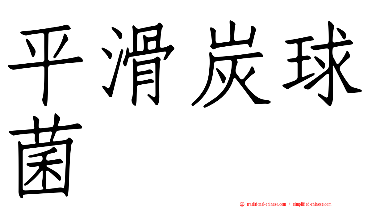 平滑炭球菌