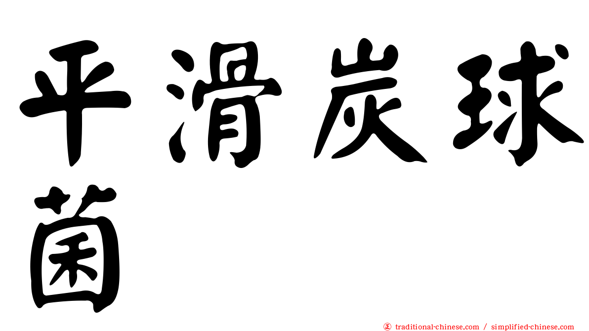 平滑炭球菌