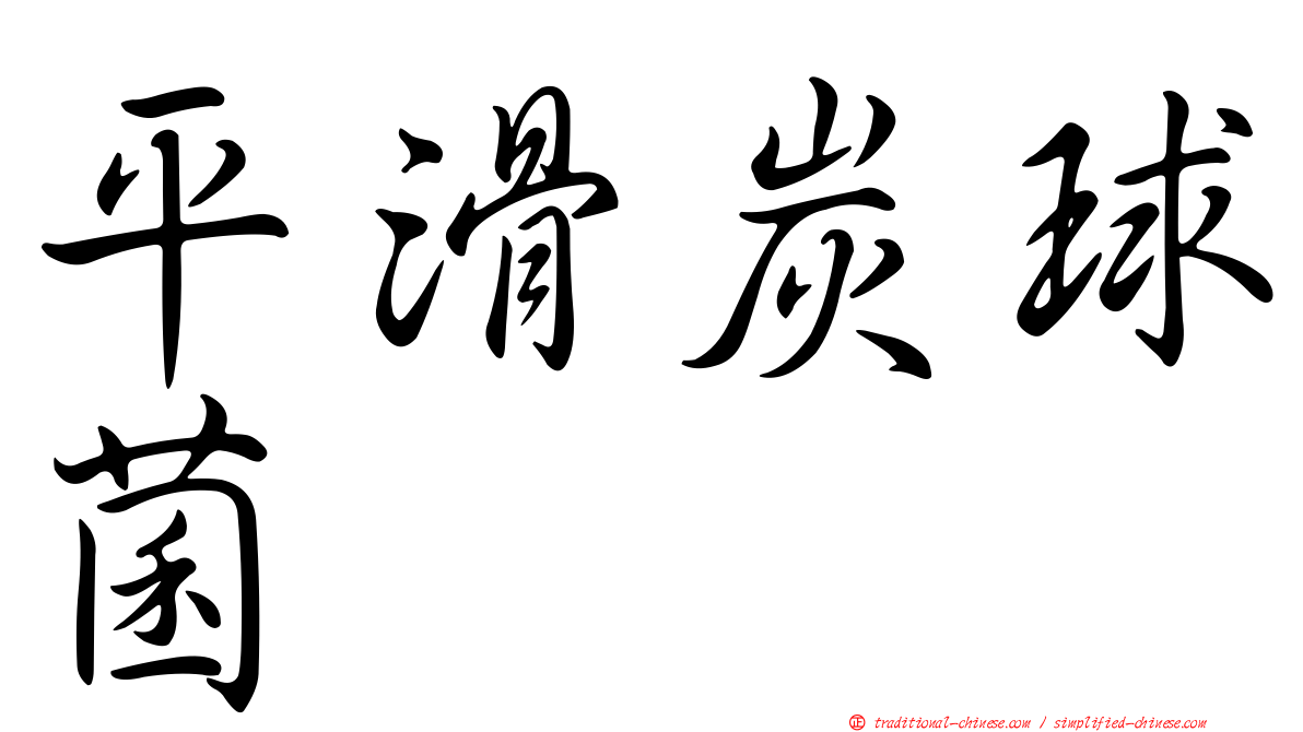 平滑炭球菌