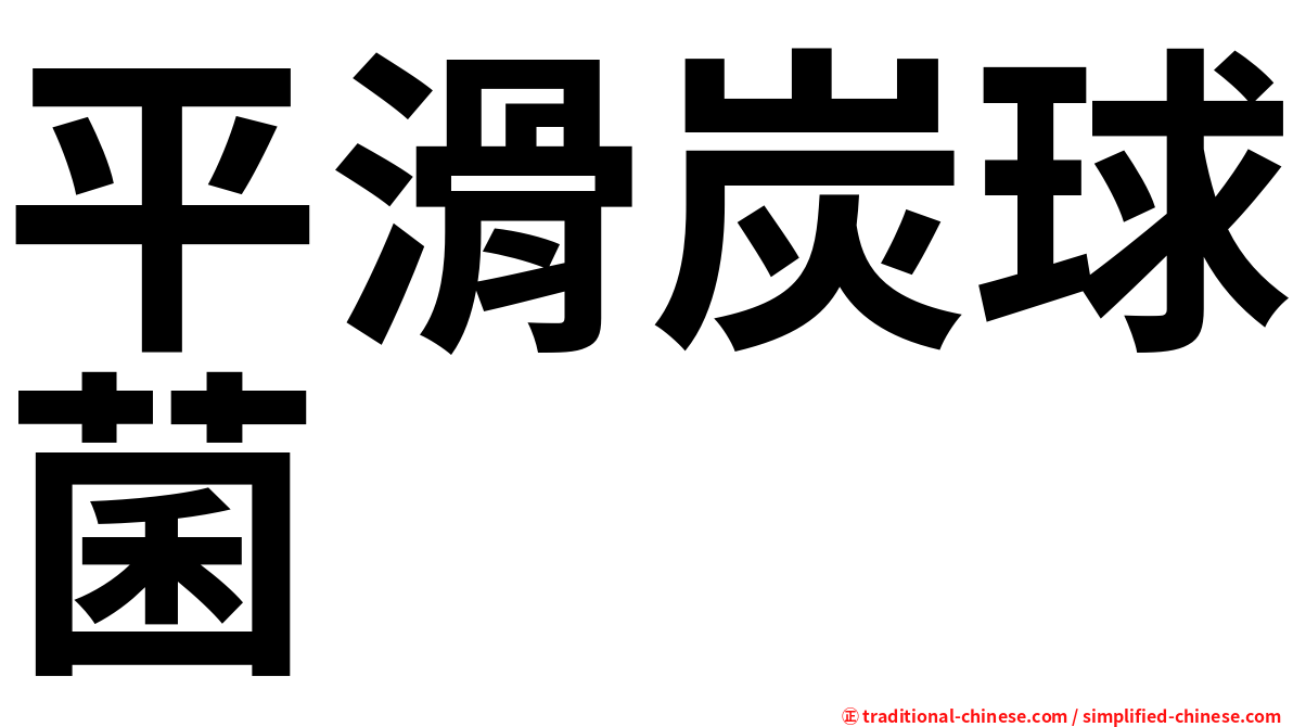 平滑炭球菌