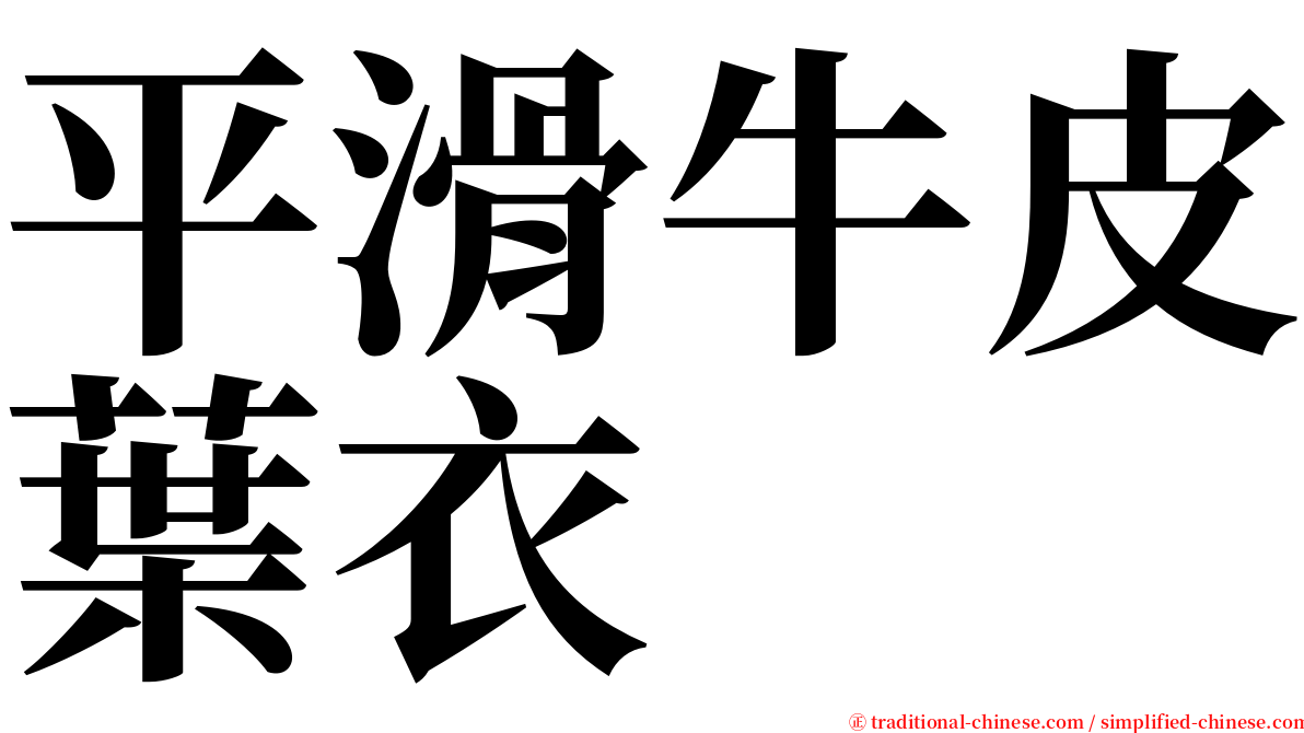 平滑牛皮葉衣 serif font