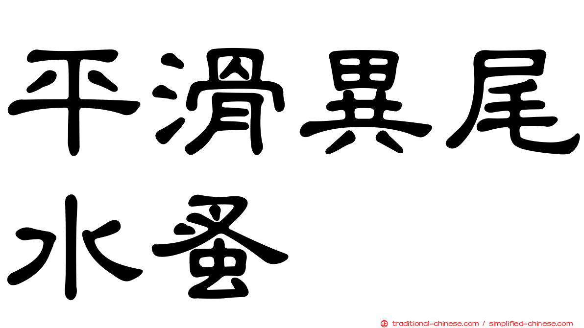 平滑異尾水蚤