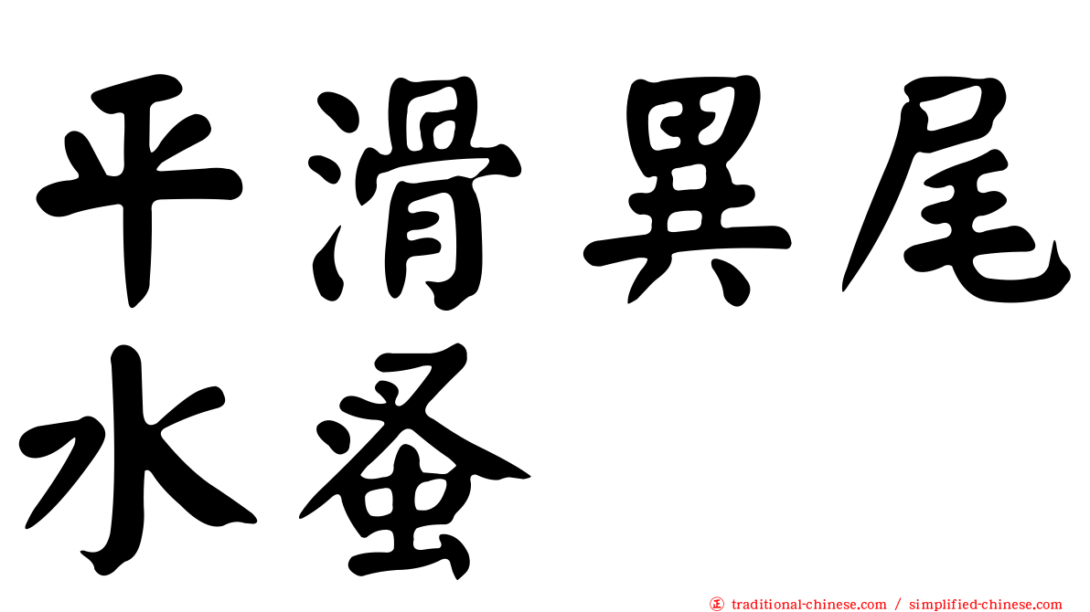 平滑異尾水蚤