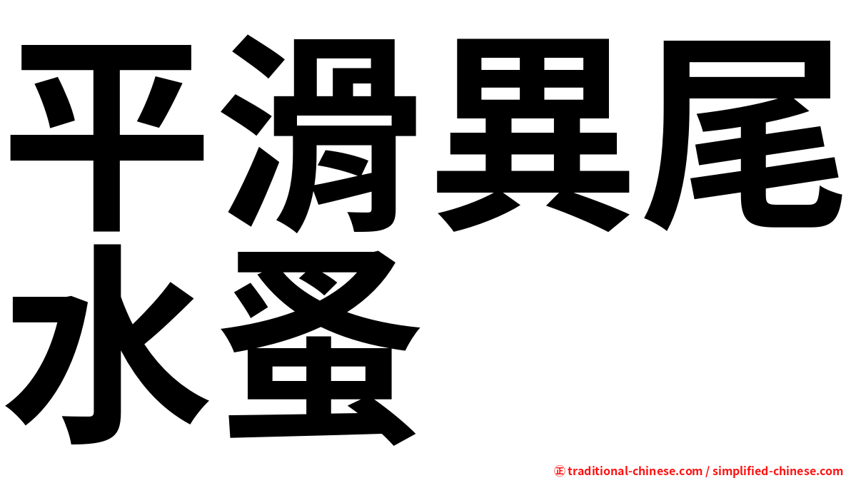平滑異尾水蚤