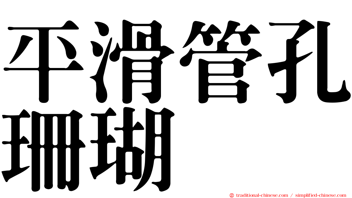 平滑管孔珊瑚