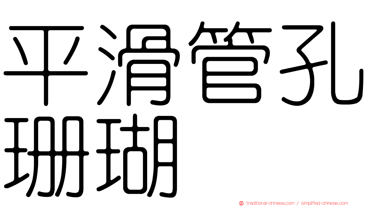 平滑管孔珊瑚