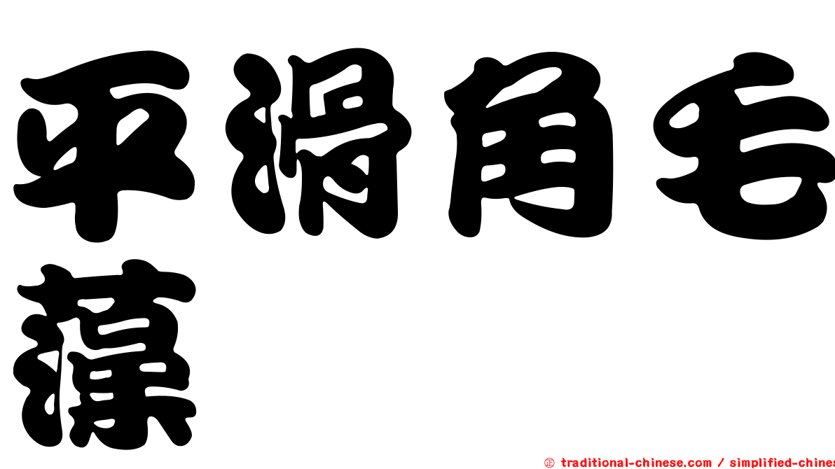 平滑角毛藻
