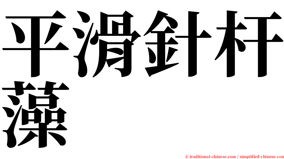 平滑針杆藻 serif font