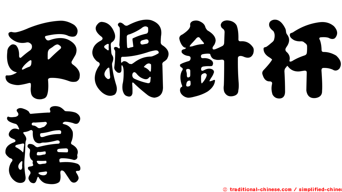 平滑針杆藻